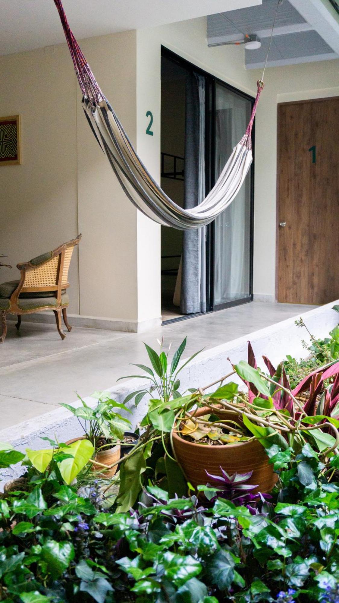 Selva House Bed & Breakfast Medellin Exterior photo
