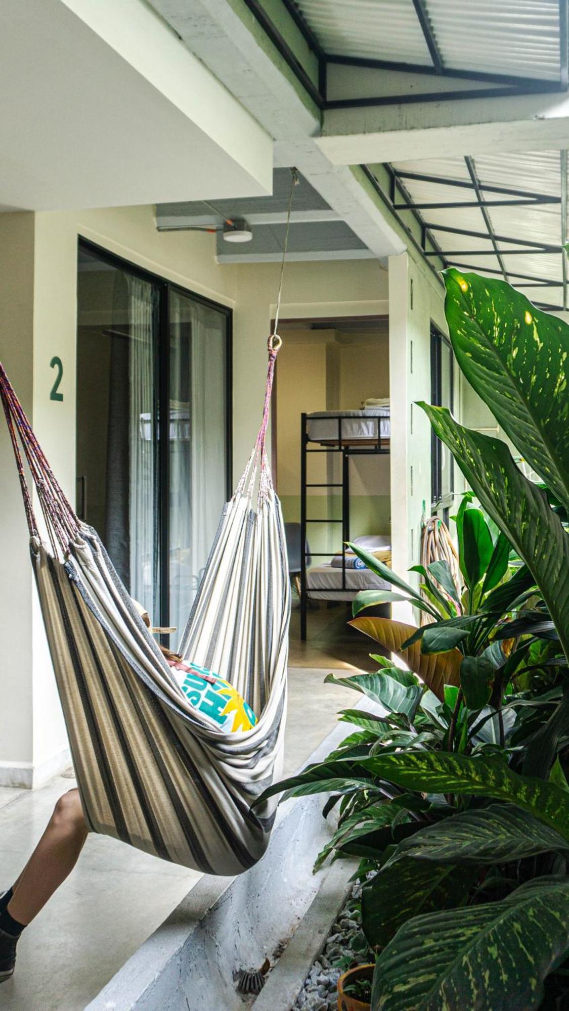 Selva House Bed & Breakfast Medellin Exterior photo